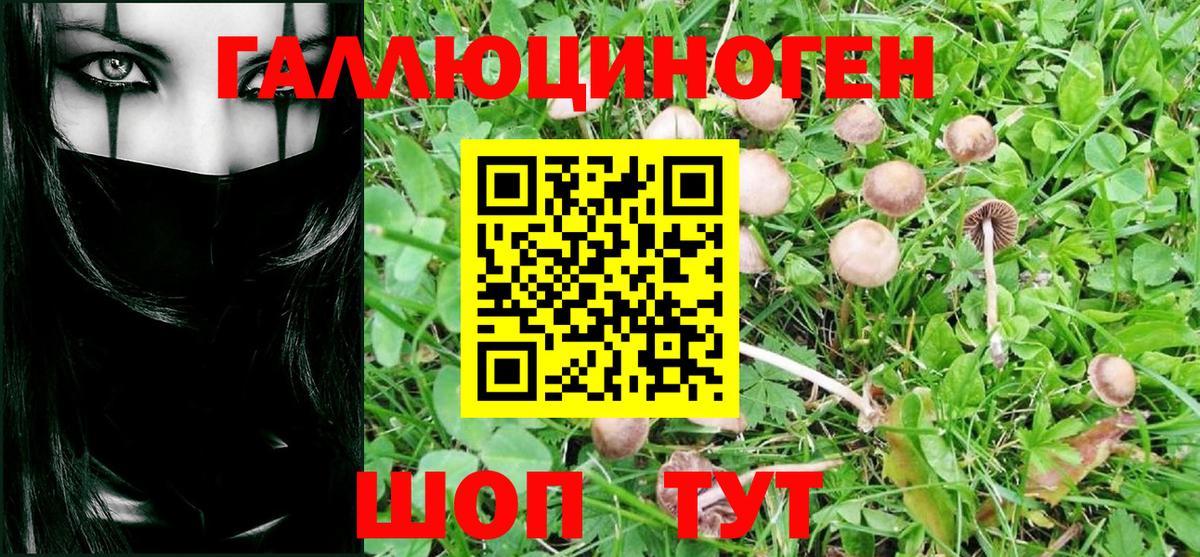 Галлюциногенные грибы мухоморы Мурино