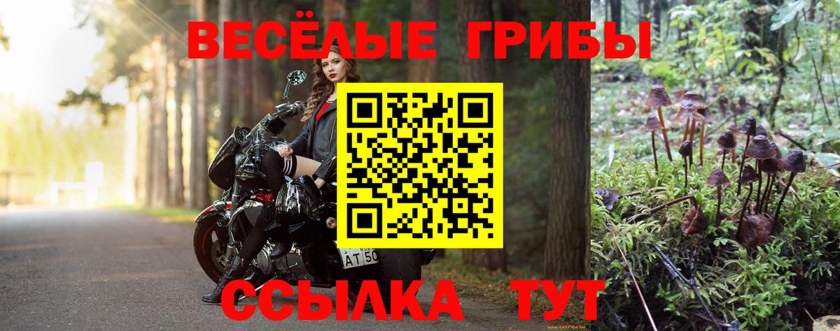 Мурино  Псилоцибиновые грибы Psilocybe  магазин продажи наркотиков  Вход с VPN 
